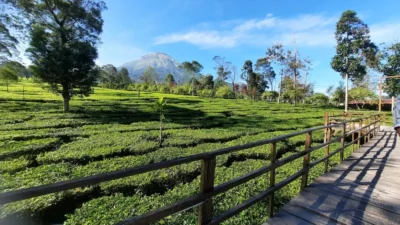 wisata-alam-jawa-tengah-indah