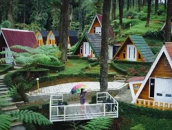 Destinasi Wisata Purwokerto: Kota Kecil dengan Daya Tarik Wisata Pegunungan, Air Terjun, dan Budaya Banyumas