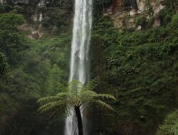 5 Rute Wisata Sejuk di Batu untuk Keluarga dari Pagi sampai Sore