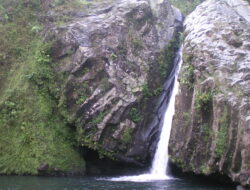 Wisata Alam Banyumas Seharian: Jalur Baturraden, Curug, dan Spot Ramah Keluarga