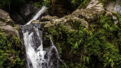 Air terjun sejuk di kawasan hutan Jawa Tengah