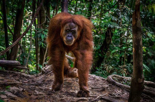 rute sehari Kota Lama Semarang