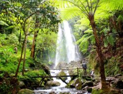 Itinerary Tawangmangu Sehari: Grojogan Sewu, Kebun Teh Kemuning, dan Jeda Sate Kelinci