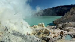 wisata Banyuwangi sehari