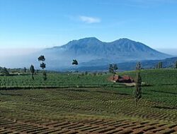 Itinerary sehari wisata keluarga di Kota Batu tanpa kendaraan pribadi