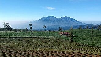 Foto Kota Batu untuk itinerary sehari wisata keluarga di Kota Batu