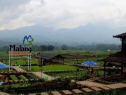 Panduan Wisata Keluarga ke Kota Batu: Itinerary Seharian yang Realistis